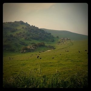 Meet your Posher, Vero